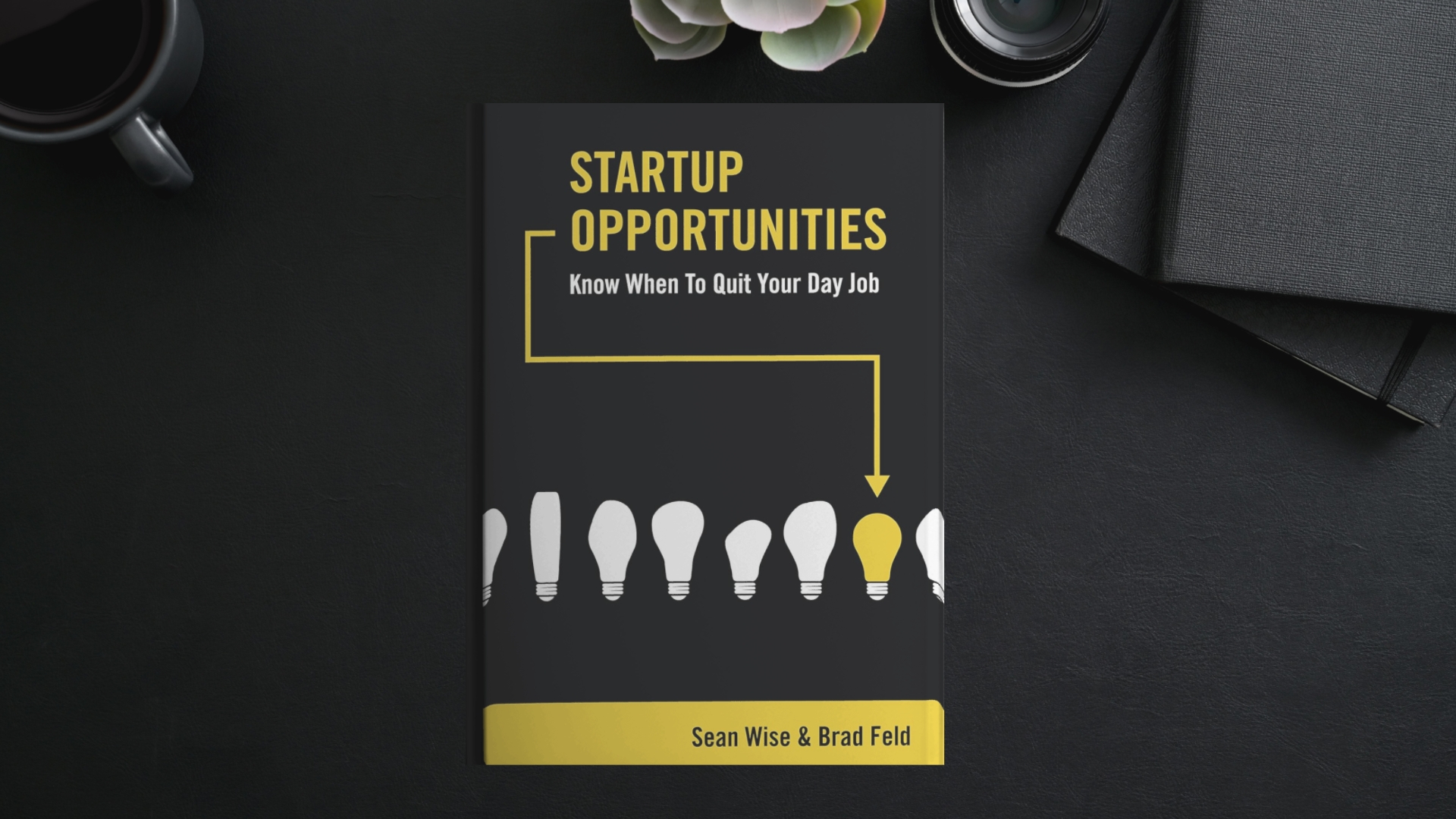 Startup Opportunities book