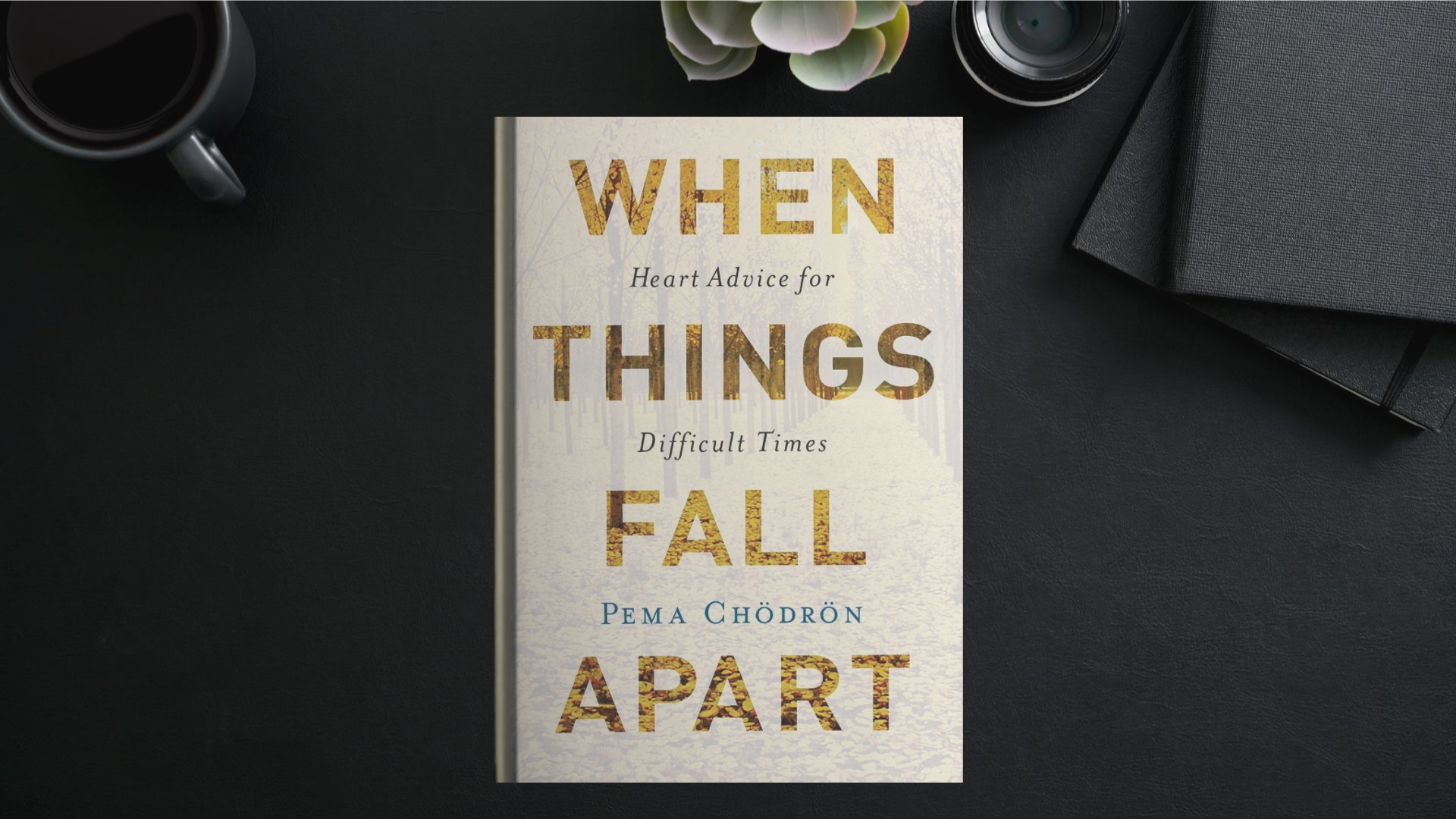 When Things Falls Aparts book